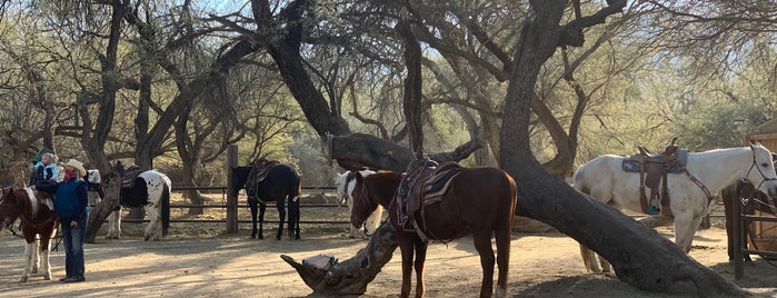 Houston Horse Riding is one of Tempat yang Disukai Pragathi.