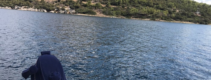 Göltürkbükü Denizin Ortası is one of Tempat yang Disukai Mujdat.