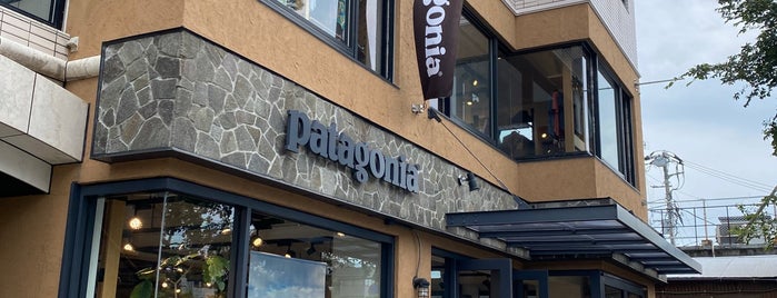 Patagonia is one of ones.