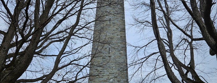 Bennington Monument is one of NJ, NY, ON, MA, VT, CT 2007.