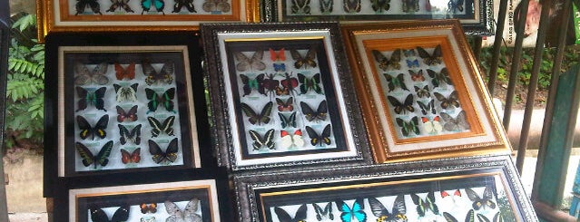 Bantimurung Butterfly Sanctuary is one of Visit and Traveling @ Indonesia..