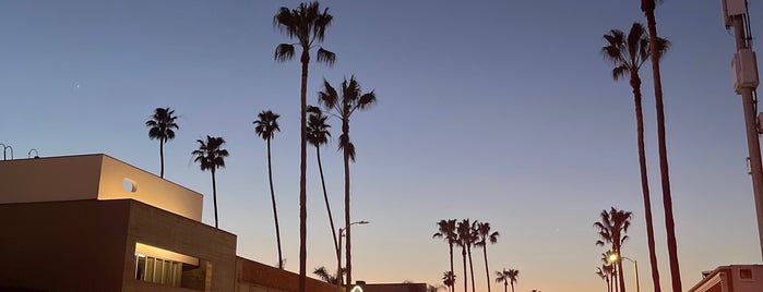 Abbot Kinney and Venice Blvd is one of LA.