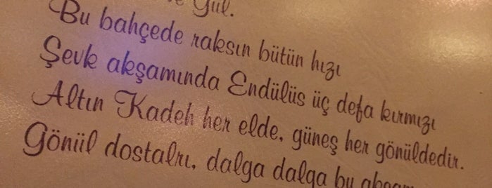 Endülüs Meyhanesi is one of Çağrı🤴🏻🇹🇷さんのお気に入りスポット.