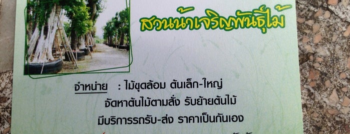 Trees for Gardens is one of Phuket9.com Real Estate Development.