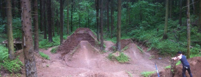 Buzzit trails is one of Locais curtidos por Евгений.