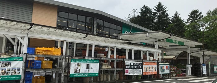 カインズホーム カインズホーム