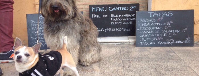 Snack Attack is one of El Carmen.