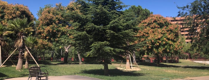 Parque Miraflores is one of Parques de Zaragoza.