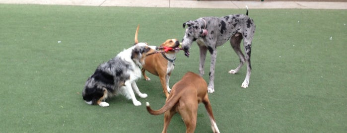 Butcher Dog Park is one of Never to do.
