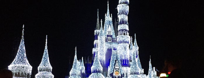 Cinderella Castle is one of Tempat yang Disukai Aundrea.
