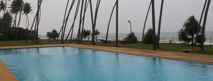 Haridra Resort & Spa by Jetwing is one of Nice hotels.