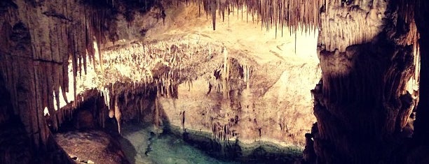 Cuevas del Drach is one of Mallorca: I'm not an amateur tourist, I'm a pro!.