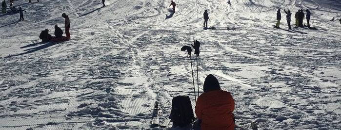 Tochal Ski Area is one of Iran.