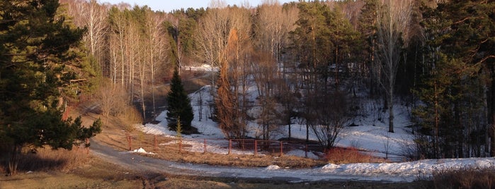 Ботанический сад Академгородка СО РАН is one of Новосибирск места.