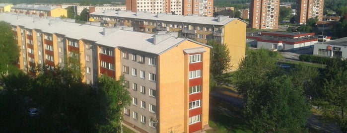 Kohtla-Järve is one of Eesti linnad/Estonian cities.