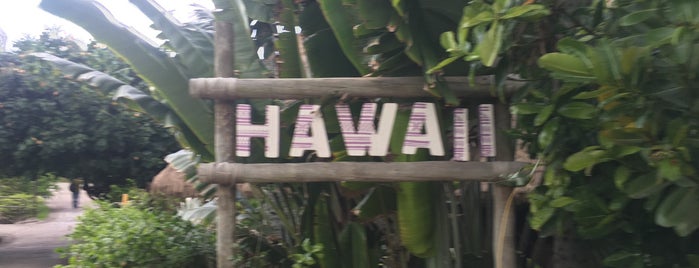 Hawai'i is one of สถานที่ที่ Bernard ถูกใจ.