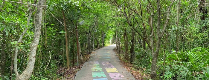 Bang Kachao is one of Bangkok Things to Do 2017.