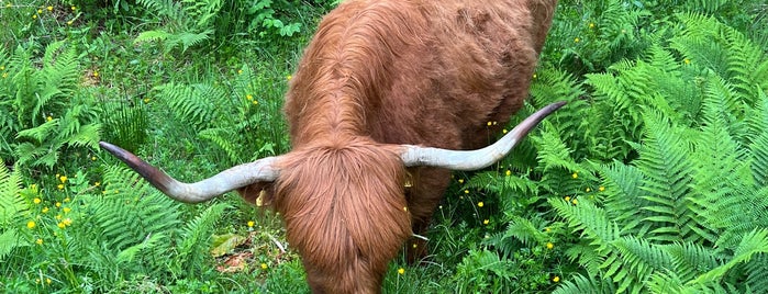 Glen Nevis is one of Edinburgh.