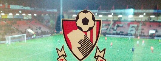 Vitality Stadium is one of The 92 Club.