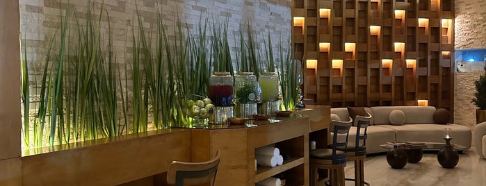 Ocean Spa is one of Cafés with plant based milks!.