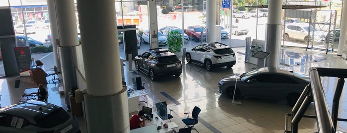 Hyundai/Nissan Dealer is one of All-time favorites in Turkey.