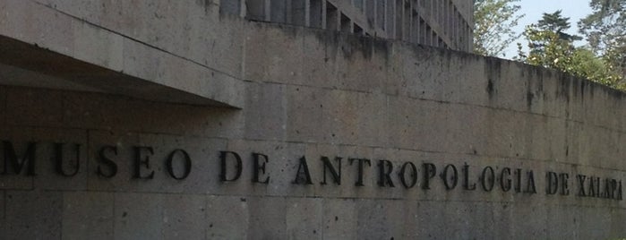 Museo de Antropologia de Xalapa is one of Favoritos.