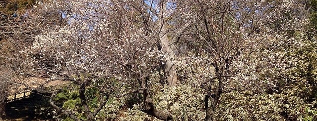 日立市郷土博物館 is one of 茨城県 / Ibaraki.