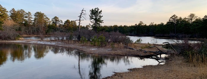 Myles Standish State Forest is one of Landmarks.