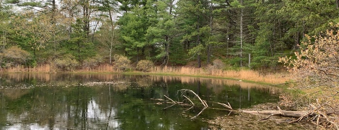 Myles Standish State Forest is one of Cape & Islands.