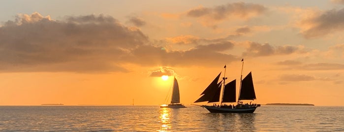 Sebago Water Sports is one of Key West Adventure.
