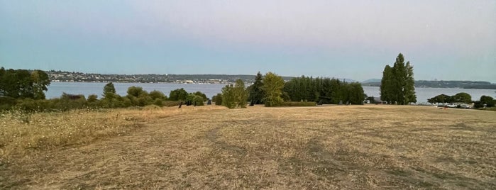 Magnuson Park Kite Hill is one of Seattle things to do & places to go!.
