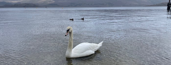 Luss Beach is one of Glasgow.