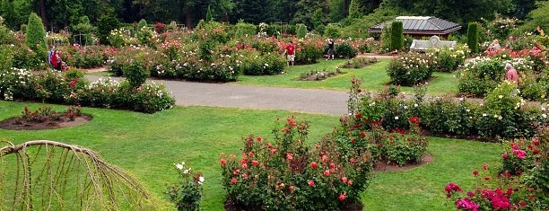 International Rose Test Garden is one of Bridgetown.