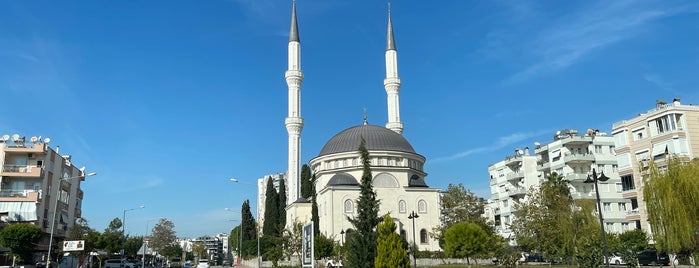 Seyyid Halid Göyük Camii is one of .'ın Beğendiği Mekanlar.