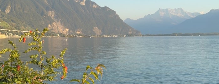 Montreux CGN is one of Europe Tour 2011.