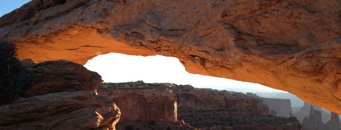 Canyonlands National Park is one of สถานที่ที่บันทึกไว้ของ Julie.