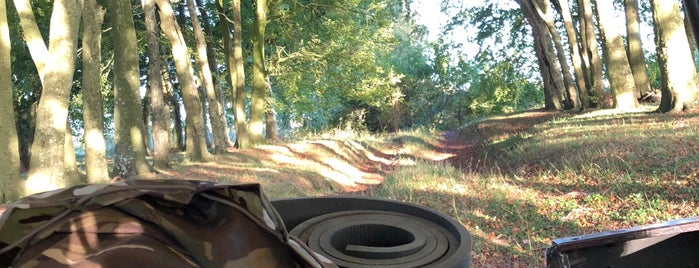 Dunscombe Bottom nature reserve is one of Wayne'nin Beğendiği Mekanlar.