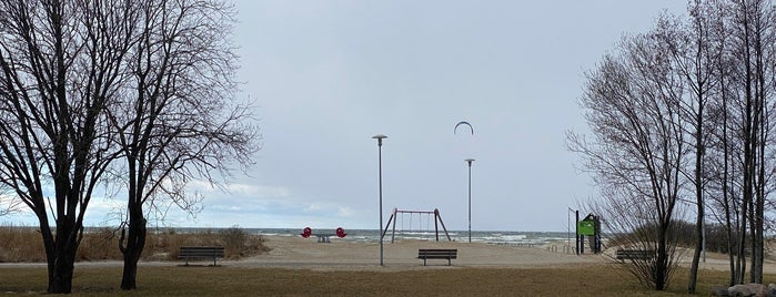 Kakumäe rand is one of Beaches in Estonia.