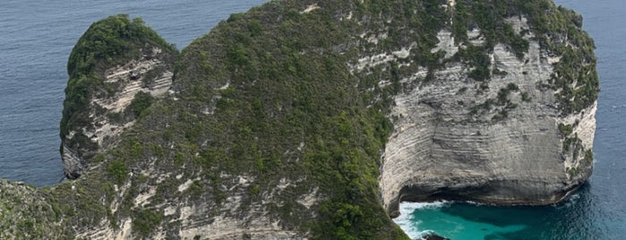 Kelingking Beach is one of Lieux sauvegardés par Kimmie.