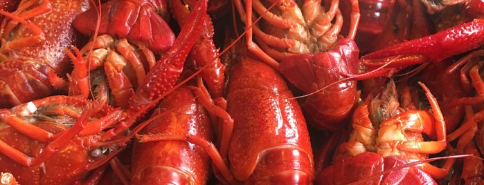 Crayfish Spot is one of Andreas 님이 좋아한 장소.