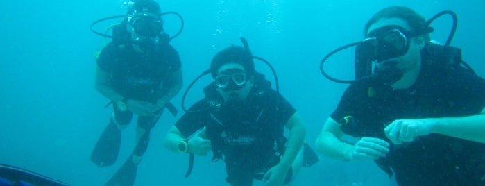 Discovery Dive Center is one of Andreas'ın Beğendiği Mekanlar.