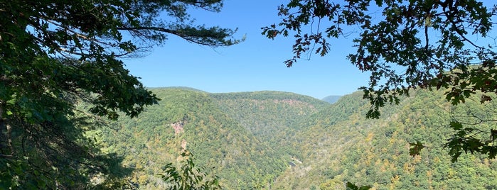 Pennsylvania's Little Grand Canyon is one of Outdoor Adventures.