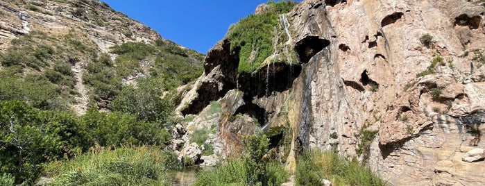 Sitting Bulls Falls is one of A local’s guide: 48 hours in Carlsbad, New Mexico.