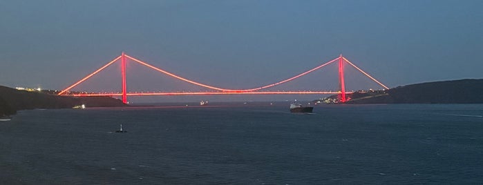 Boğaz Canlı Balık Lokantası is one of İstanbul Bar Kategoriler.