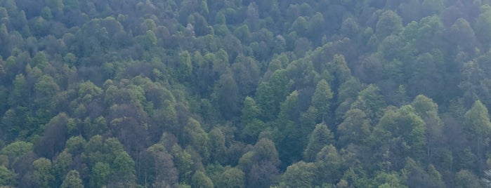 Ayri Gezegen Kartepe is one of İzmit sakarya Düzce.