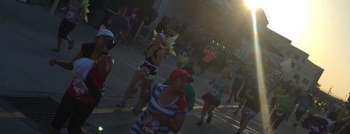 Tinker Bell Half Marathon Weekend is one of Locais curtidos por Michael.