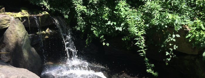 The First Cascade - Central Park is one of Arturo'nun Beğendiği Mekanlar.