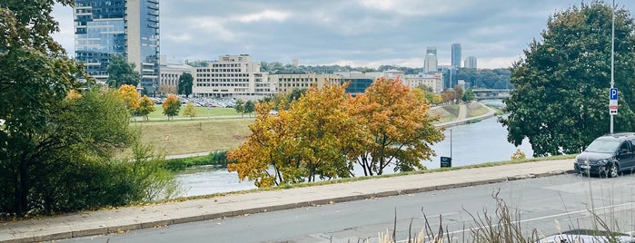 Žvėrynas is one of สถานที่ที่ Hinata ถูกใจ.