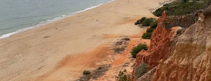 Praia de Vale do Lobo is one of Algarve.