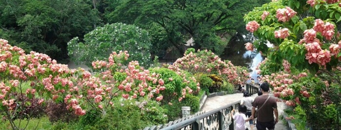 La Mesa Ecopark is one of Metro Manila Landmarks.